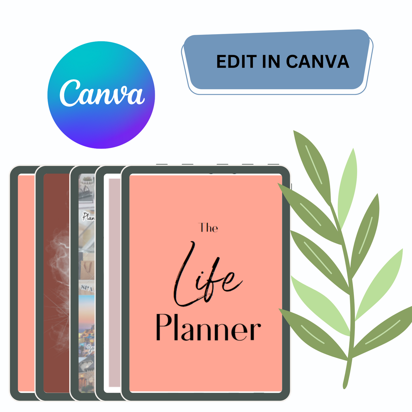 $3 Dollar Digital Products (PLR)